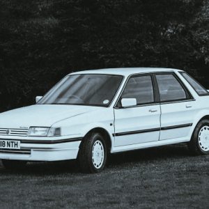 mg montego