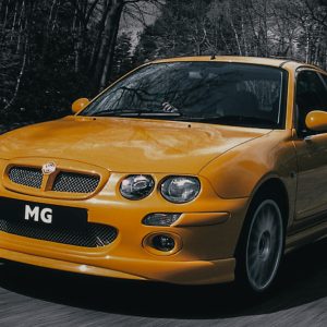 mg zr